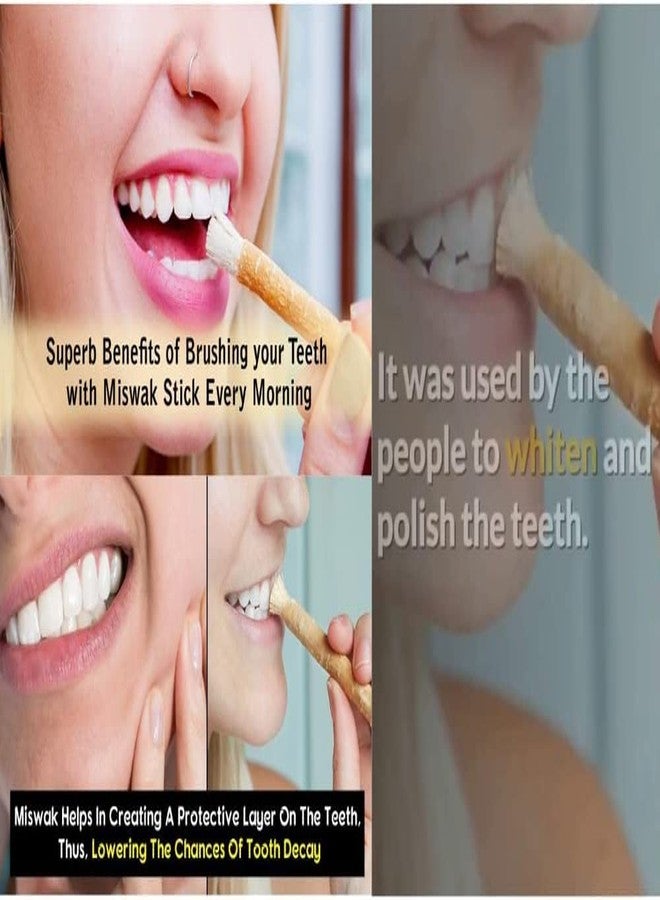 Nature Blaze Natural Traditional Miswak Peelu Chewing Stick Toothbrush for Whiter Teeth | Natural Oral Care | Herbal Miswak for Clean Teeth and Gums | Eco-Friendly, Non-Toxic, and Chemical-Free Toothbrush ( Pack of 5) - Image 5